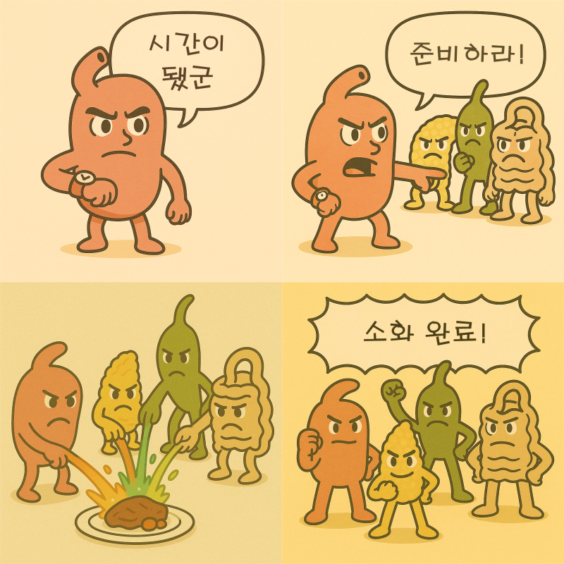 소화 불량 극복하기 (3) - 규칙과 여유