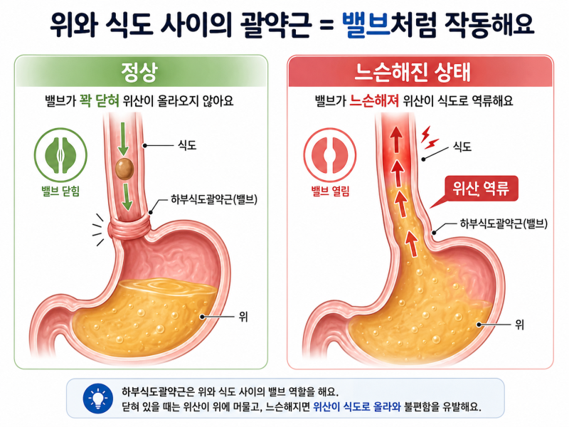 스트레스 받으면 속이 쓰린 이유, 몸이 솔직하게 말해주고 있어요